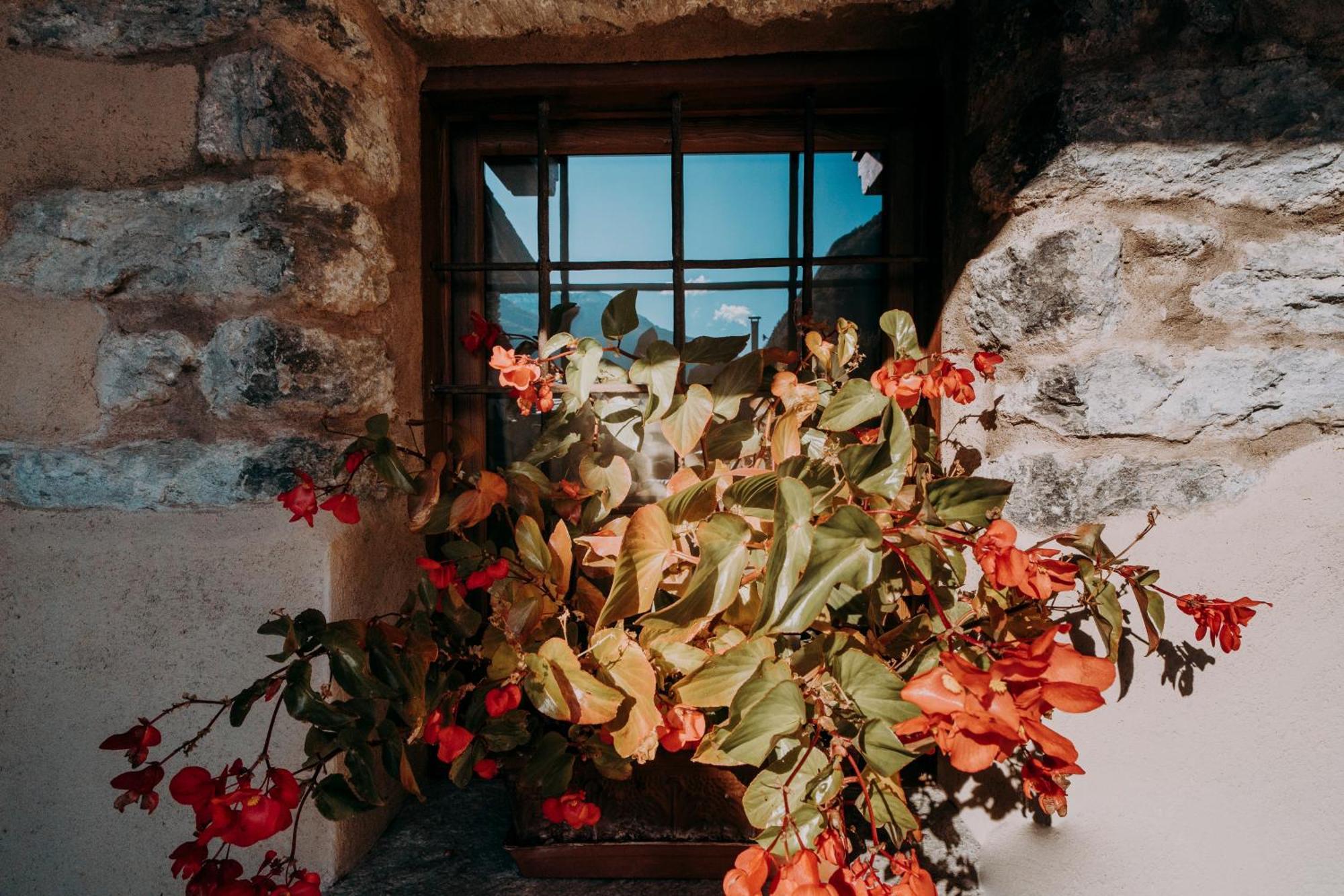 Au Coeur Du Village Chambres D'Hotes & Spa Arnad Dış mekan fotoğraf
